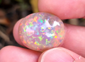 19 Carat Natural Ethiopian Multi-Fire Opal – Premium Gemstone