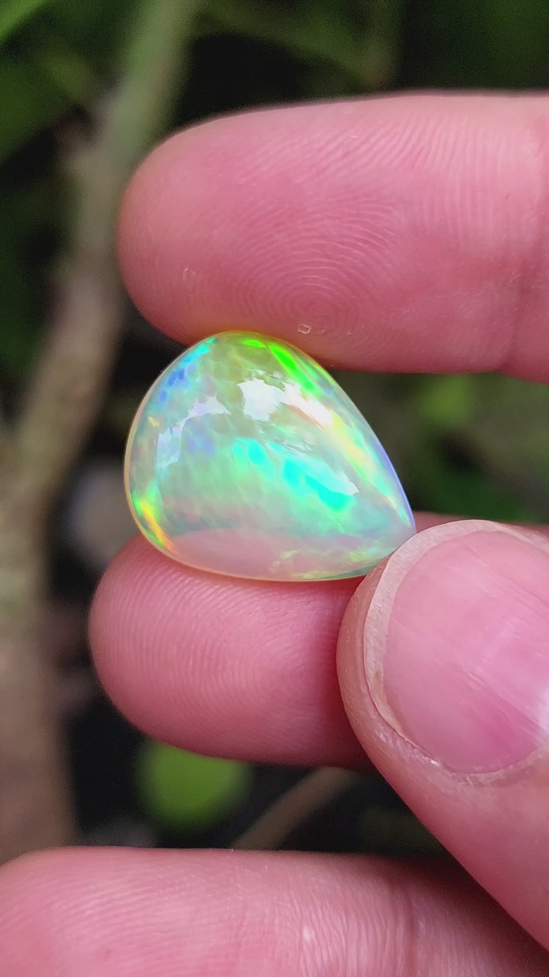 10.53 Carat Natural Ethiopian Multi-Fire Opal – Premium Gemstone