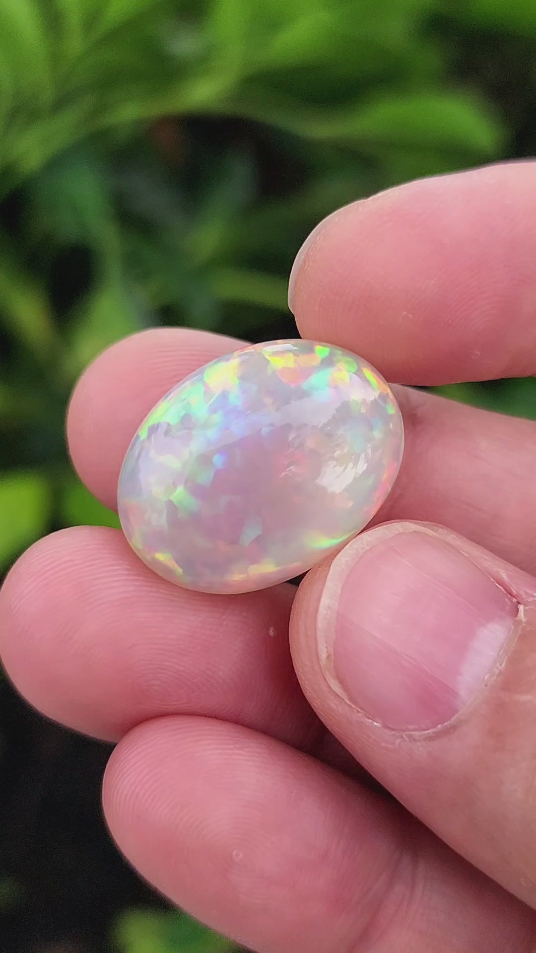 20 Carat Natural Ethiopian Multi-Fire Opal – Premium Gemstone