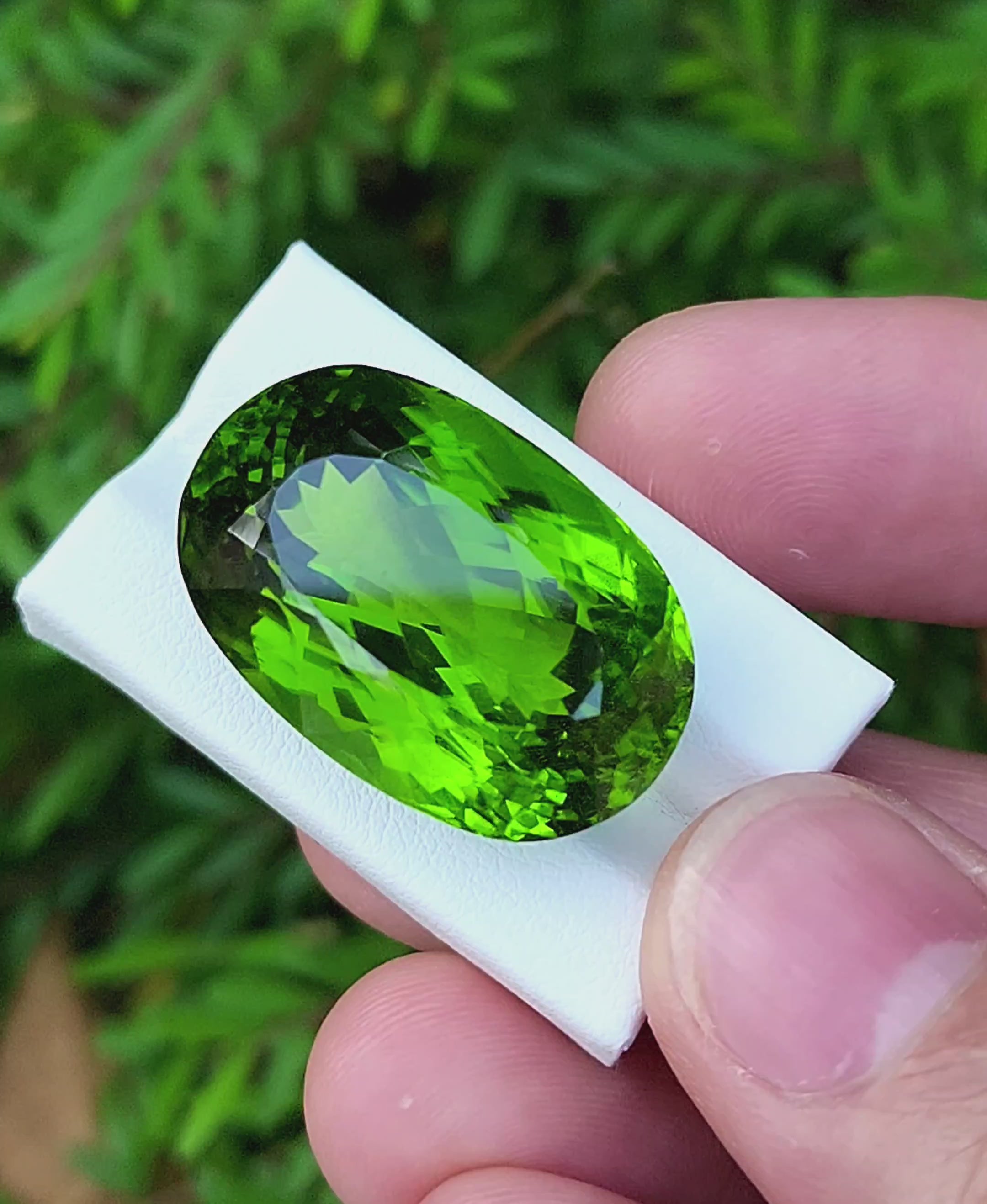 60.59 Ct Natural Peridot from Pakistan | Genuine Gem
