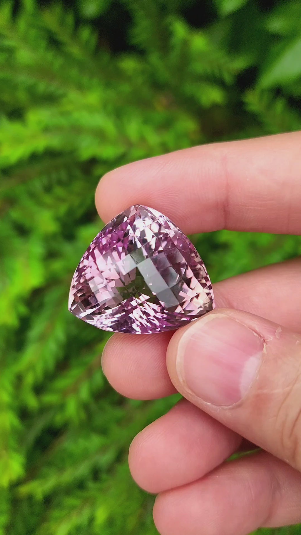 77 Carat Natural Bolivia Ametrine Gemstone – Brazil Origin