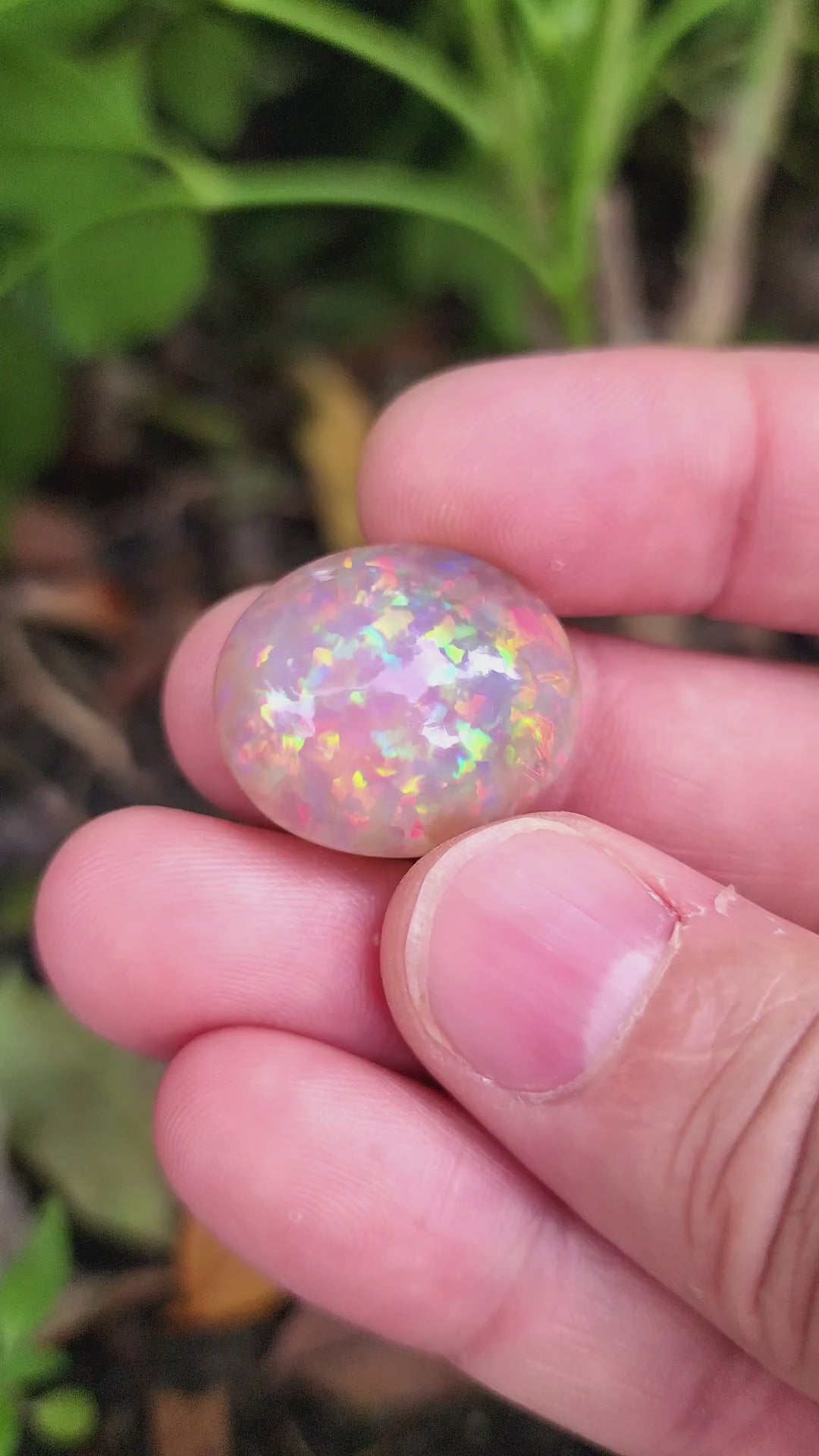 19 Carat Natural Ethiopian Multi-Fire Opal – Premium Gemstone