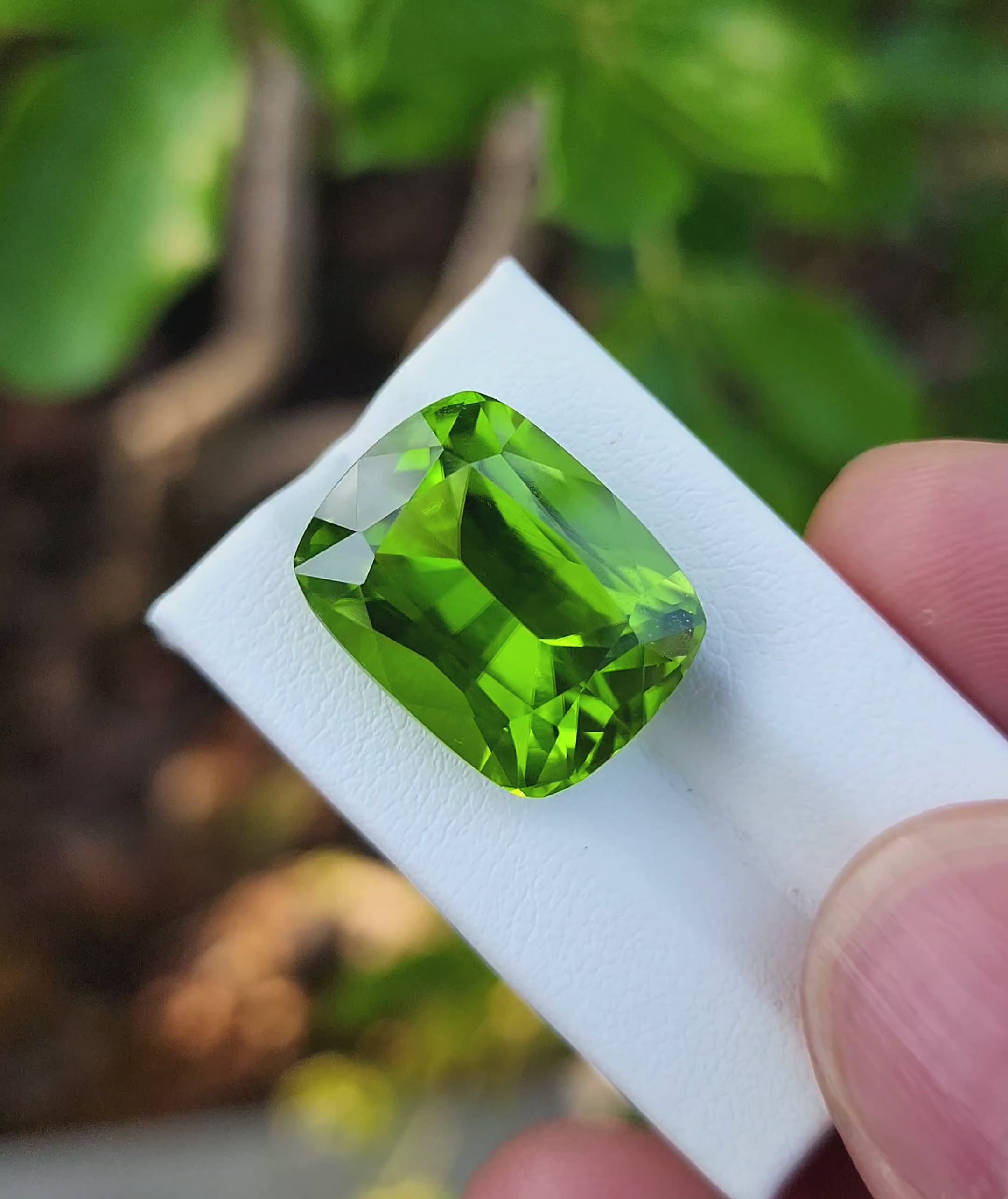 17.78 Carat Natural Peridot Gemstone – Pakistan Origin