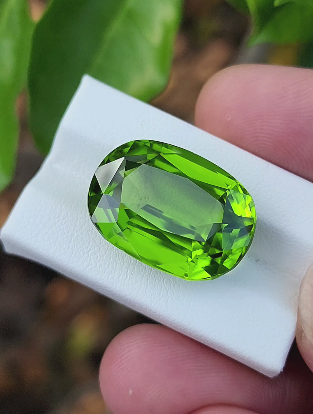 26.32Carat Natural Peridot Gemstone-Origin Pakistan