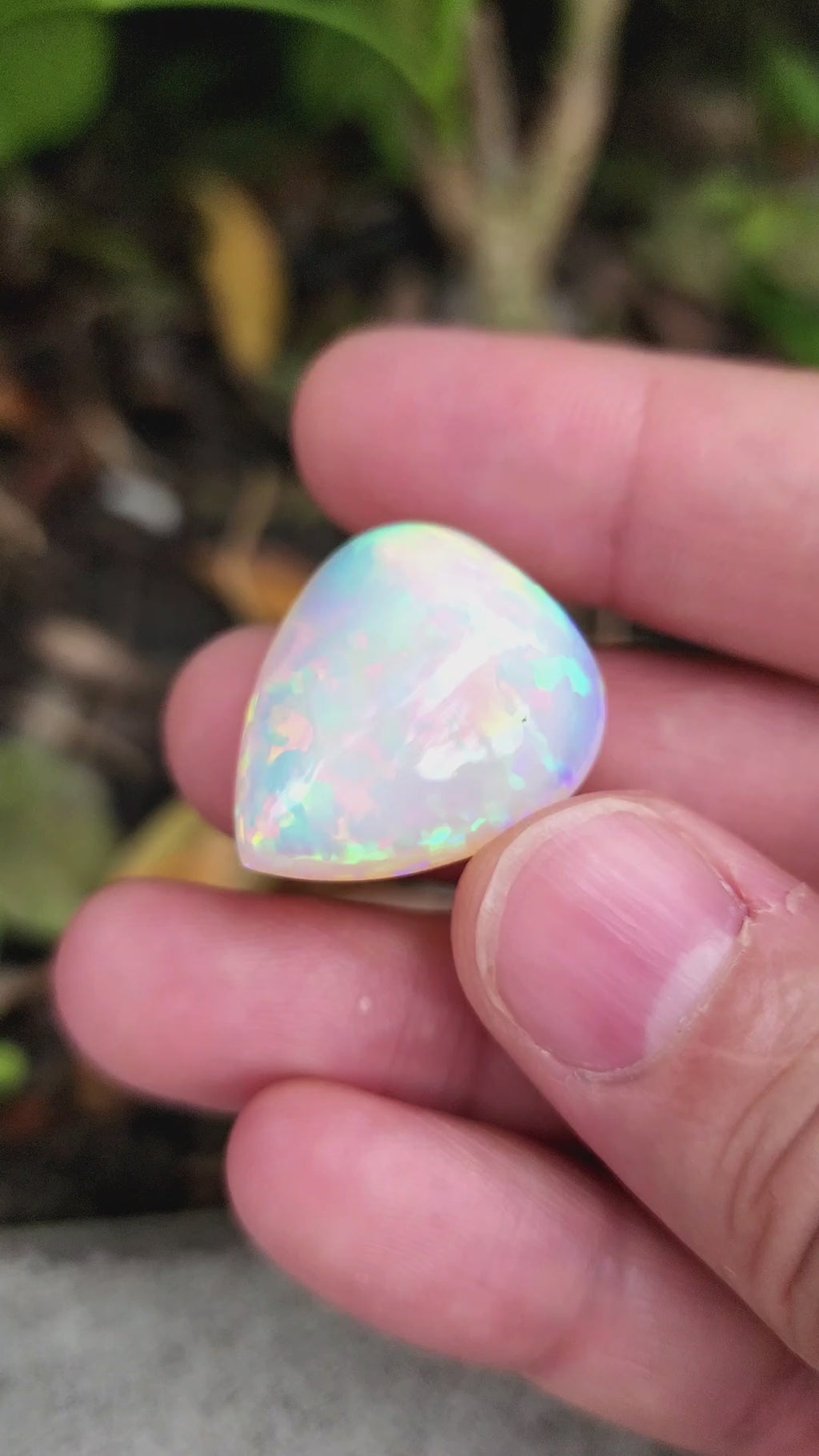 32 Carat Natural Ethiopian Multi-Fire Opal – Premium Gemstone