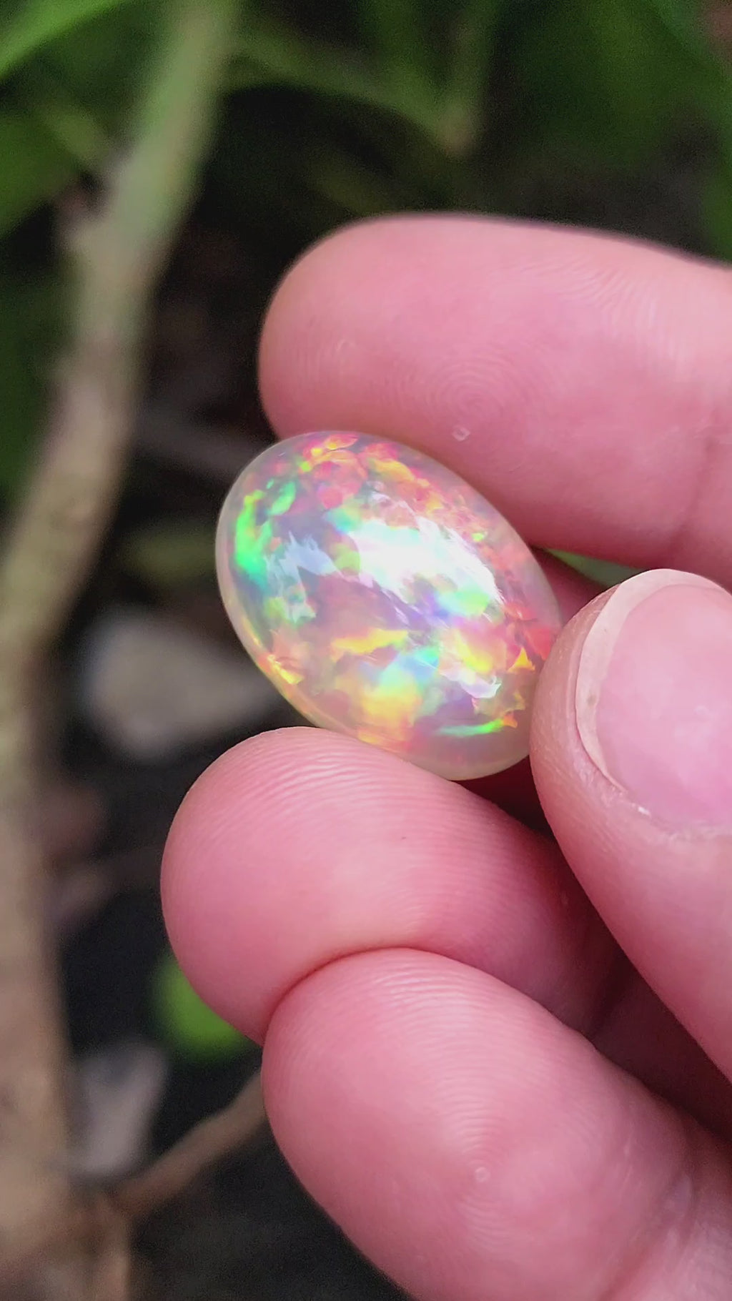 18  Carat Natural Ethiopian Multi-Fire Opal – Premium Gemstone