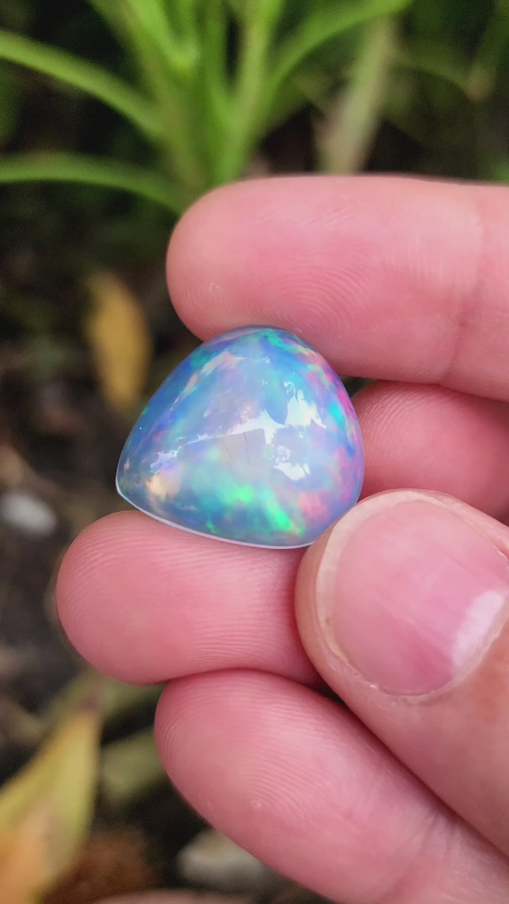16 Carat Natural Ethiopian Multi-Fire Opal – Premium Gemstone