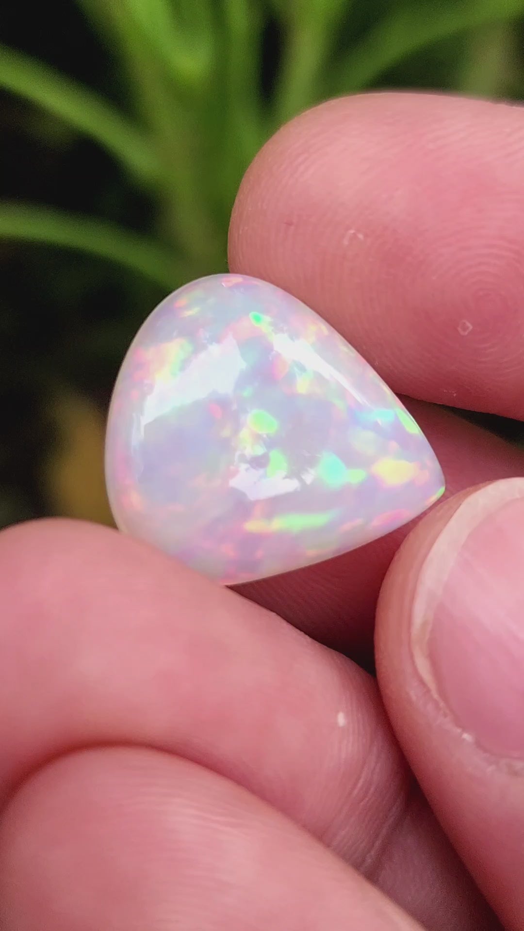 12 Carat Natural Ethiopian Multi-Fire Opal – Premium Gemstone