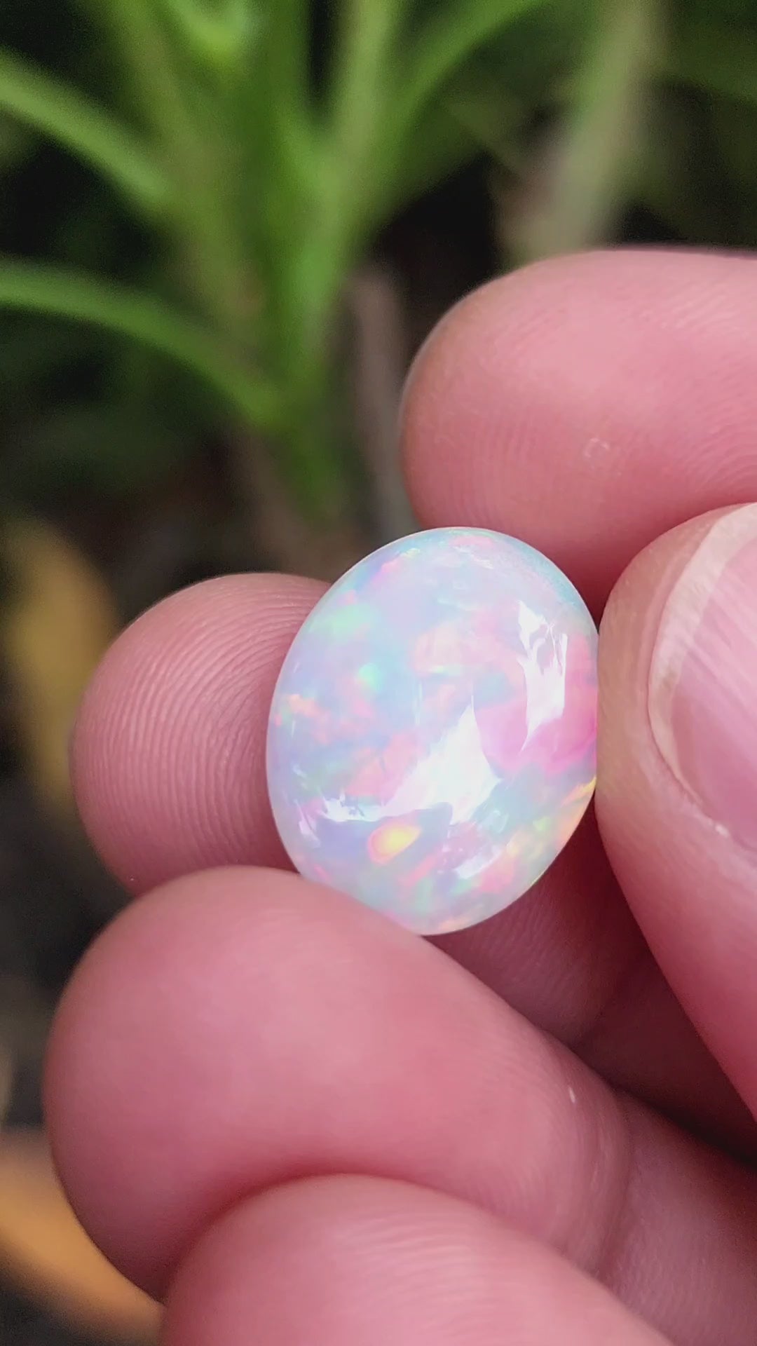 7 Carat Natural Ethiopian Multi-Fire Opal – Premium Gemstone
