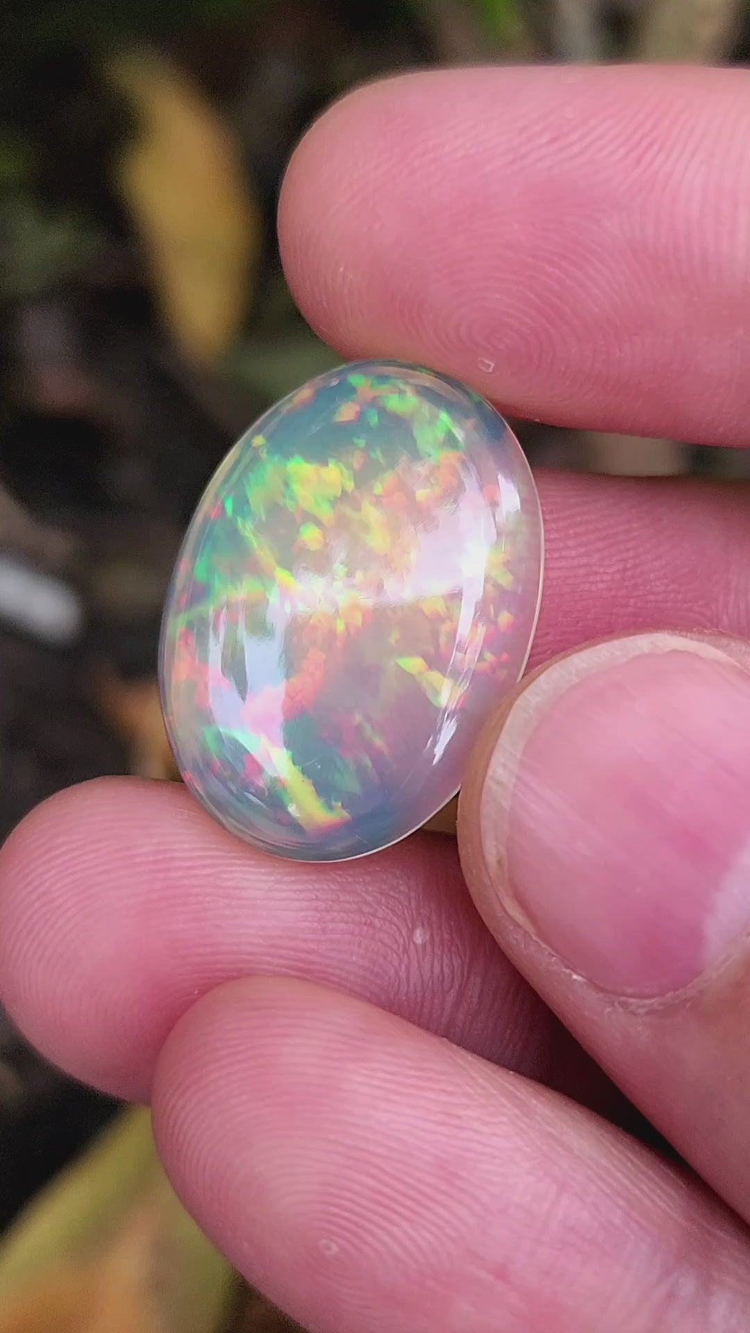 11.81 Carat Natural Ethiopian Multi-Fire Opal – Premium Gemstone