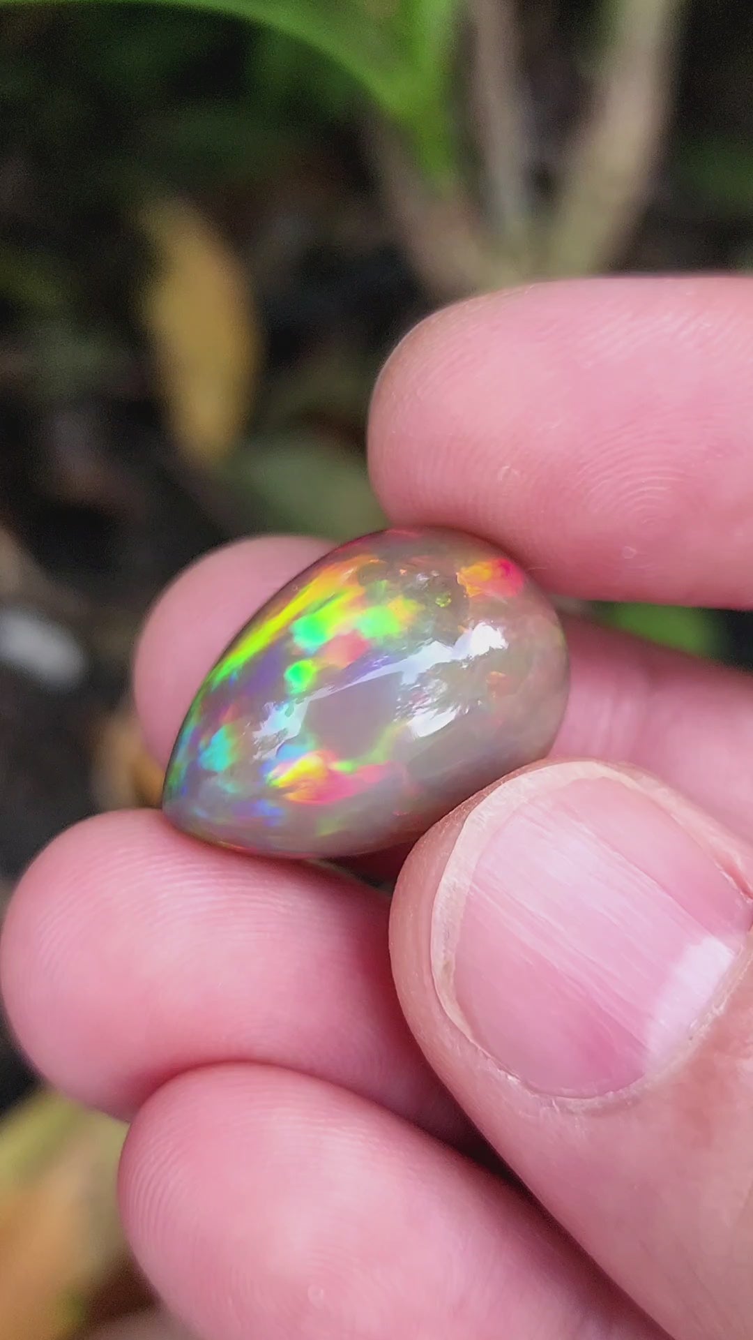 20 Carat Natural Ethiopian Multi-Fire Opal – Premium Gemstone