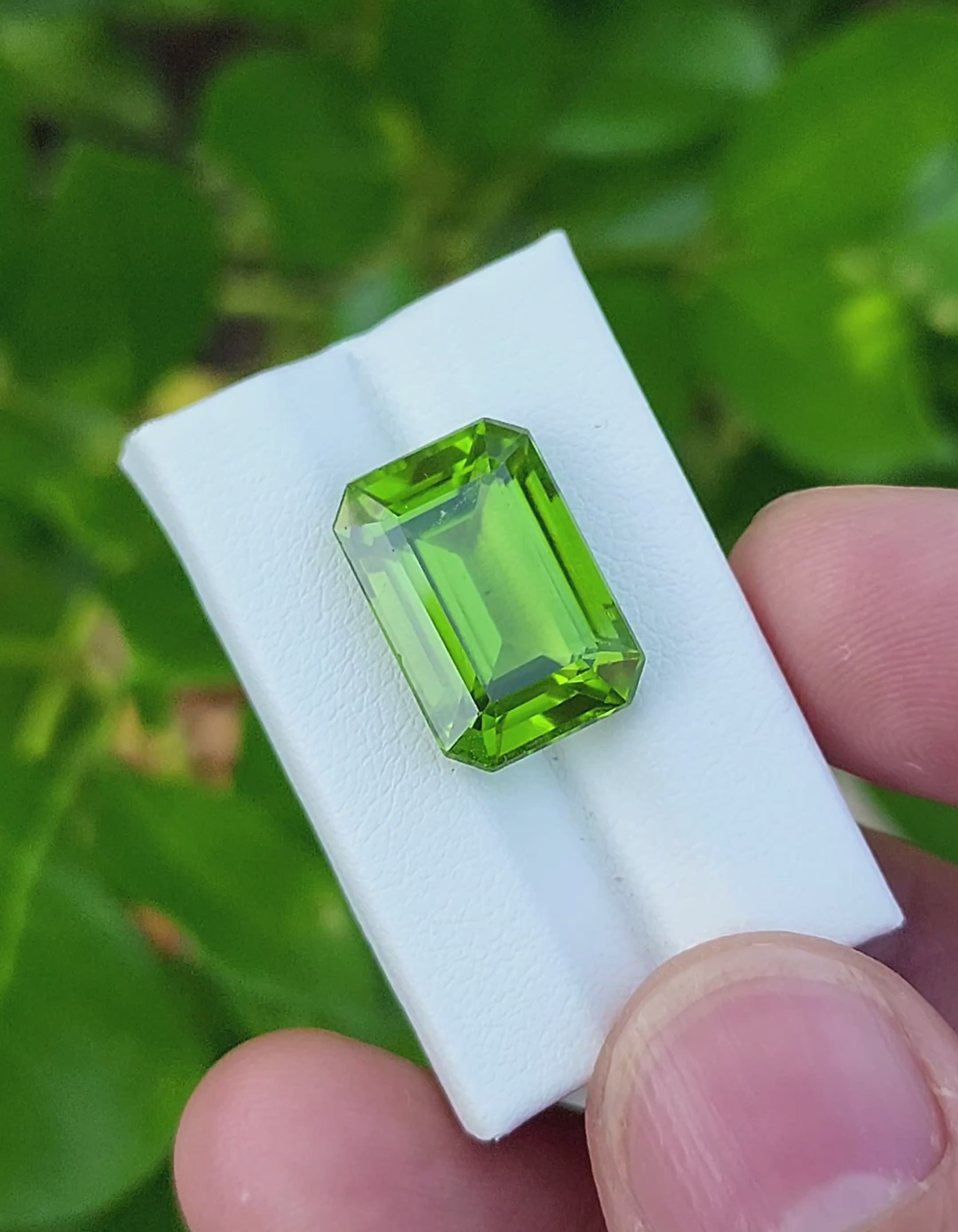 12.53 Carat Natural Peridot Gemstone-Origin Pakistan