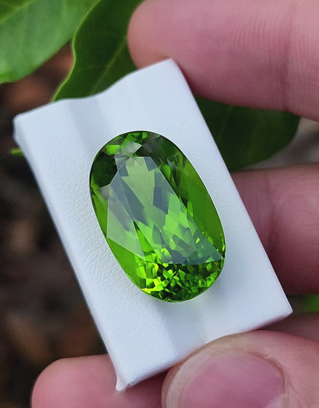 29.86Carat Natural Peridot Gemstone-Origin Pakistan