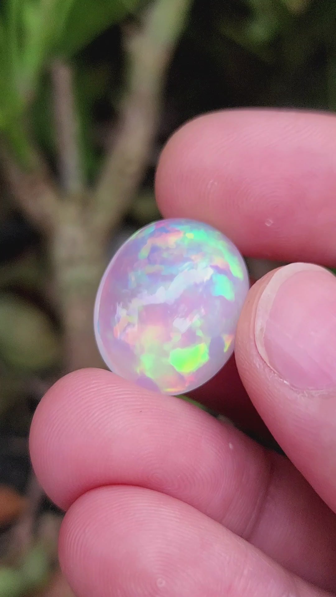 16 Carat Natural Ethiopian Multi-Fire Opal – Premium Gemstone